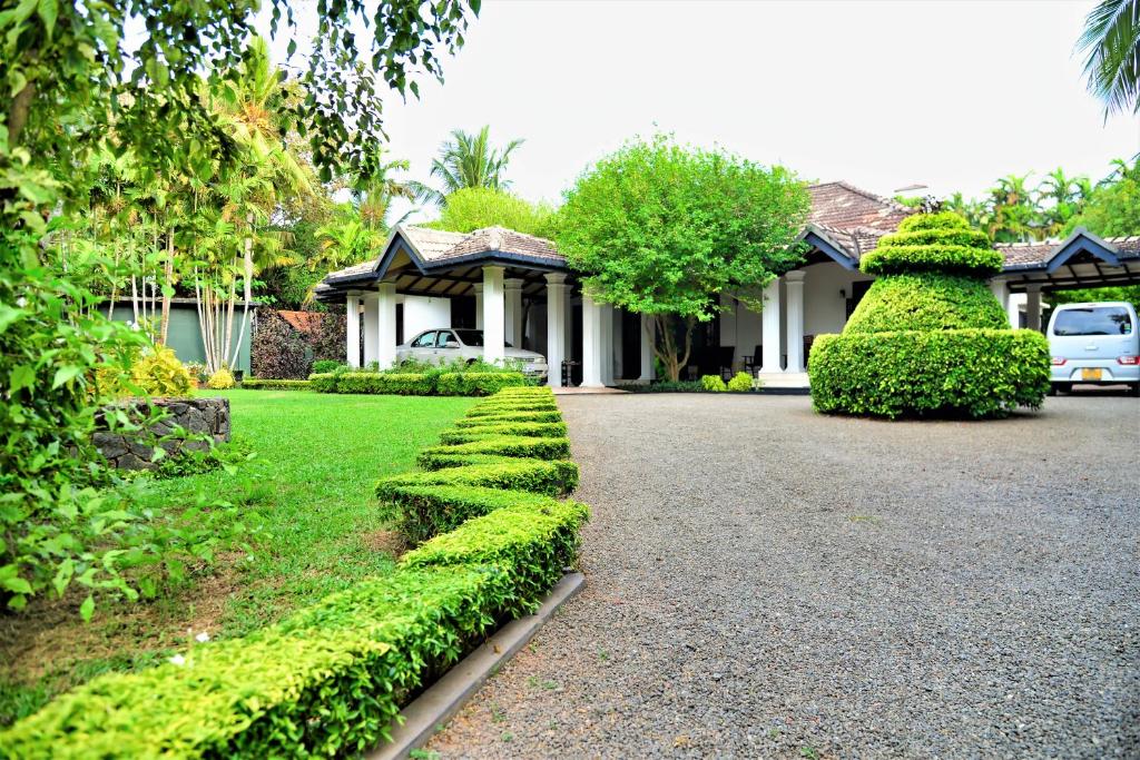 Giardino di Camellia Dwelling