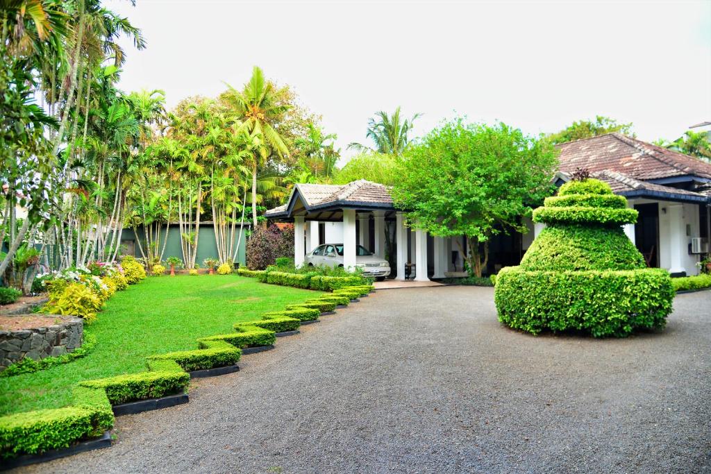 Giardino di Camellia Dwelling