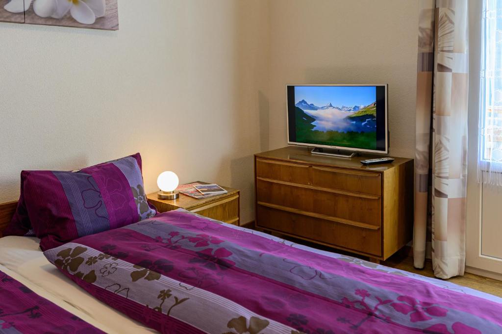 TV a/nebo společenská místnost v ubytování Hotel Bel-Air Eden