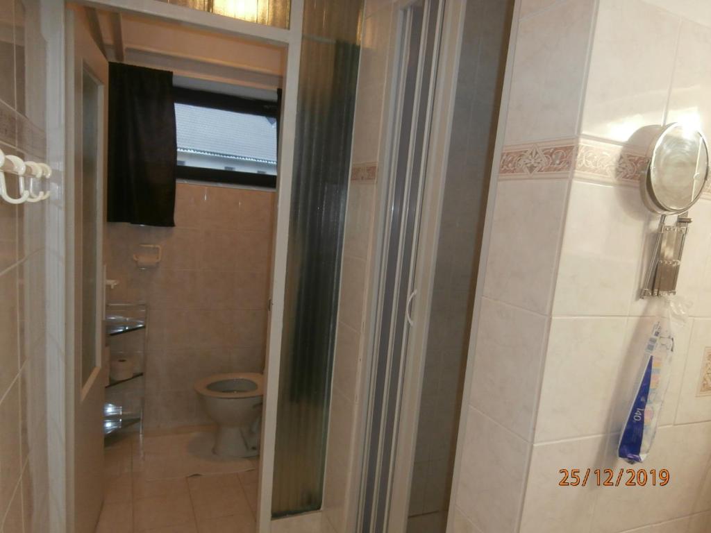 a bathroom with a toilet and a glass door at Apartman Aya in Janov nad Nisou