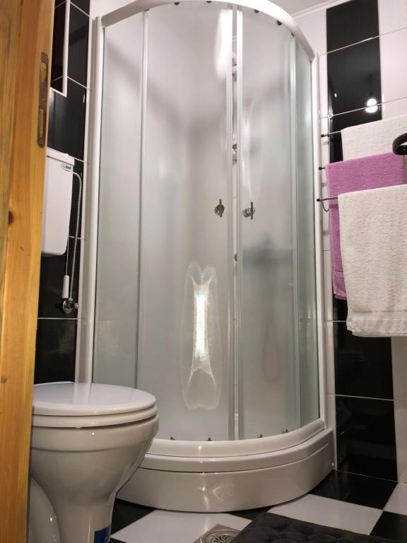 a bathroom with a shower with a toilet at Apartmani Sredojevic in Kaludjerske Bare