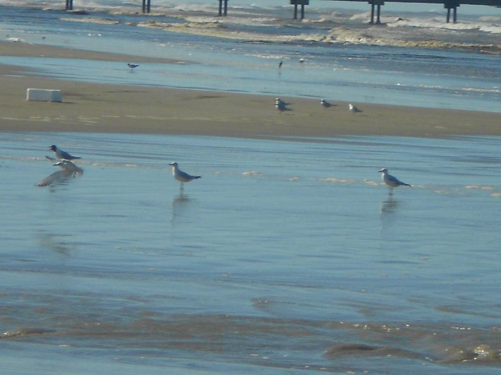  casa de praia com vista para o mar