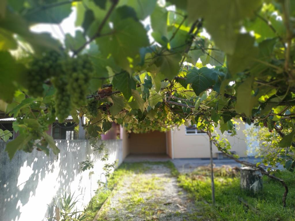 Residencial Palhoça