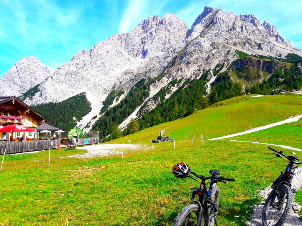 deux vélos garés dans un champ avec des montagnes en arrière-plan dans l'établissement Rad - Wanderparadis Tiroler Zugspitze Arena Biberwier, à Biberwier