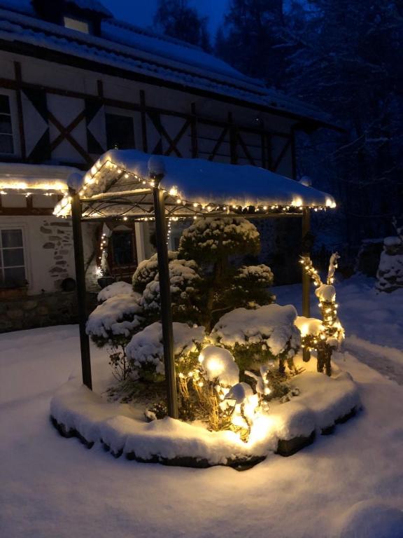 Alte Mühle Appartements v zime