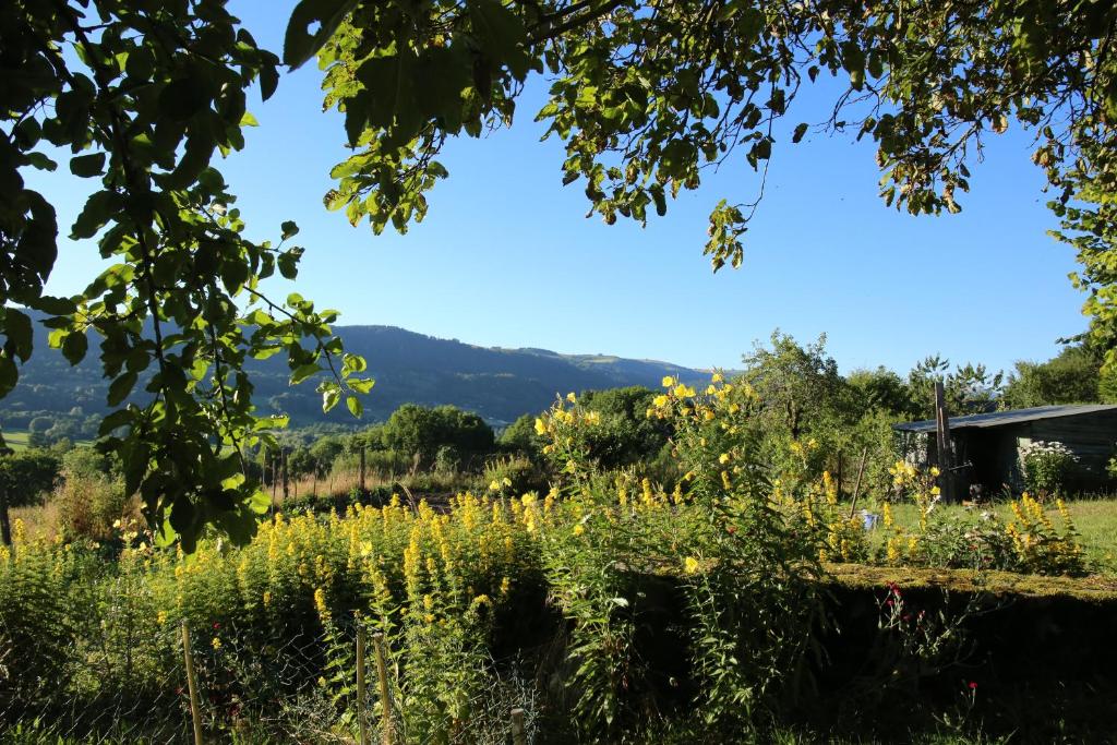 La cavalièra - Family Studio