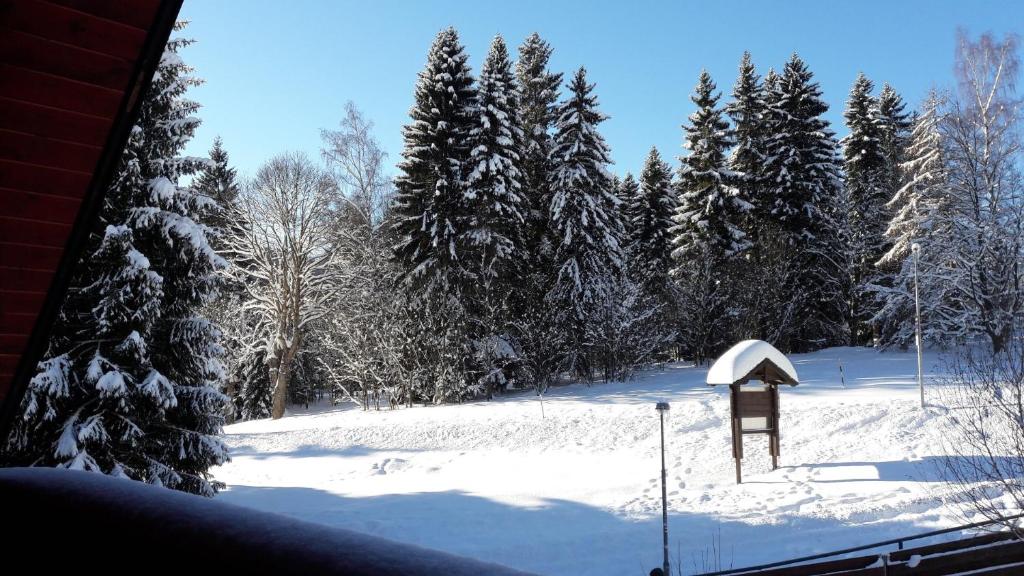 a view of a snow covered field with trees at Apartmán Bílé Labe in Špindlerův Mlýn