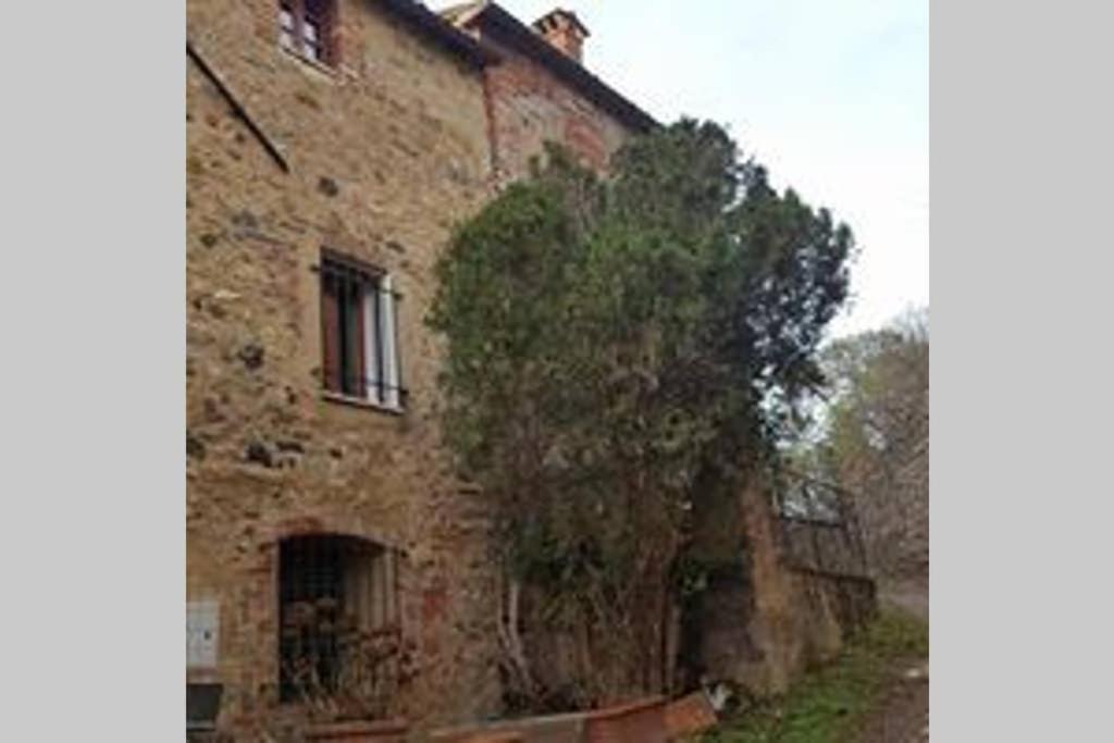 un viejo edificio de ladrillo con un árbol al lado en Sandrine Serpentine - Valleranum, en Murlo