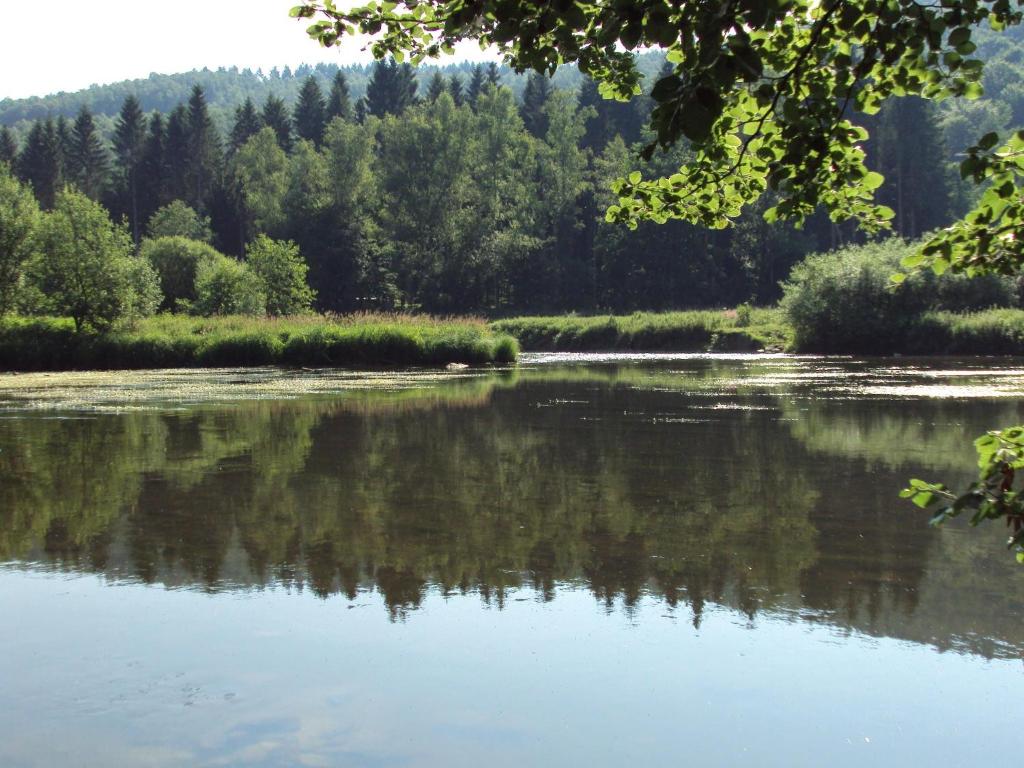 Příroda nedaleko bed and breakfast