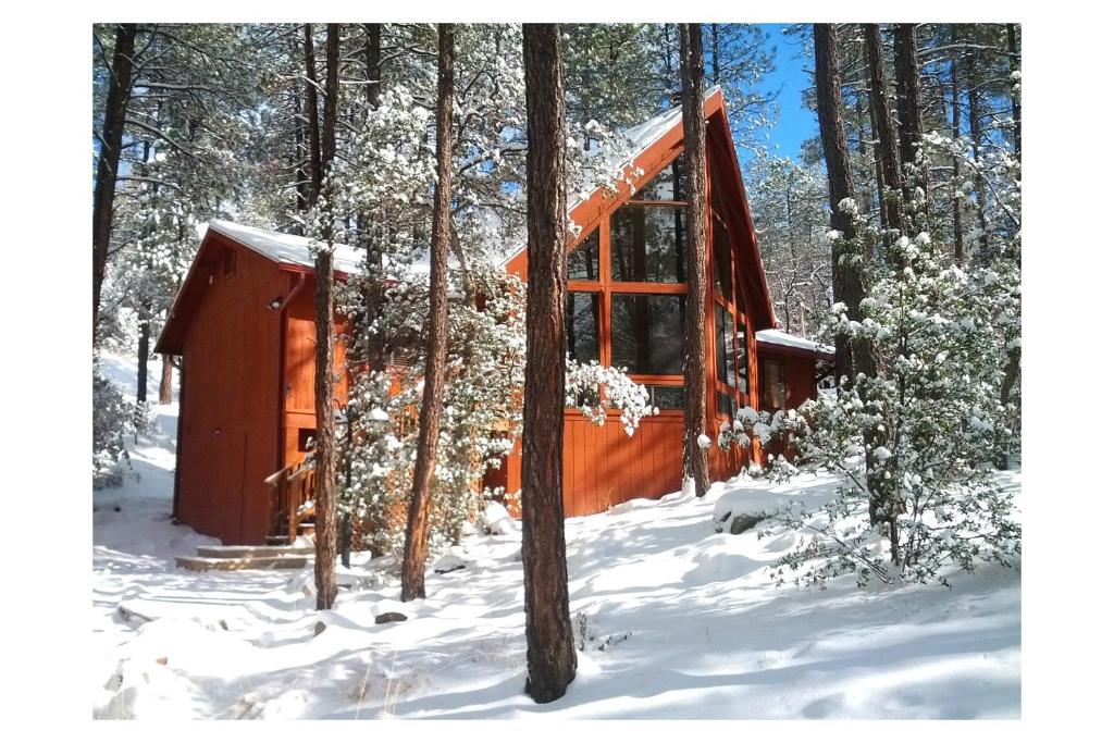 Deck and Forest Views Peaceful Prescott Cabin v zimě