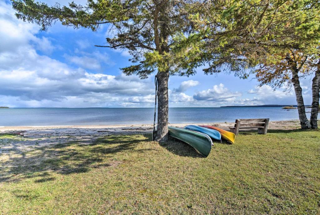 a kayak under a tree on the beach at Lovely Lake Huron Getaway Beach Access and Kayaks! in Evergreen Shores