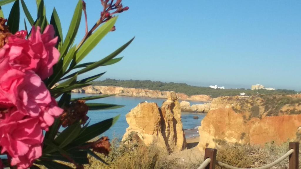 a view of a river with rocks and flowers at Albur Village B - Gerbera in Alvor