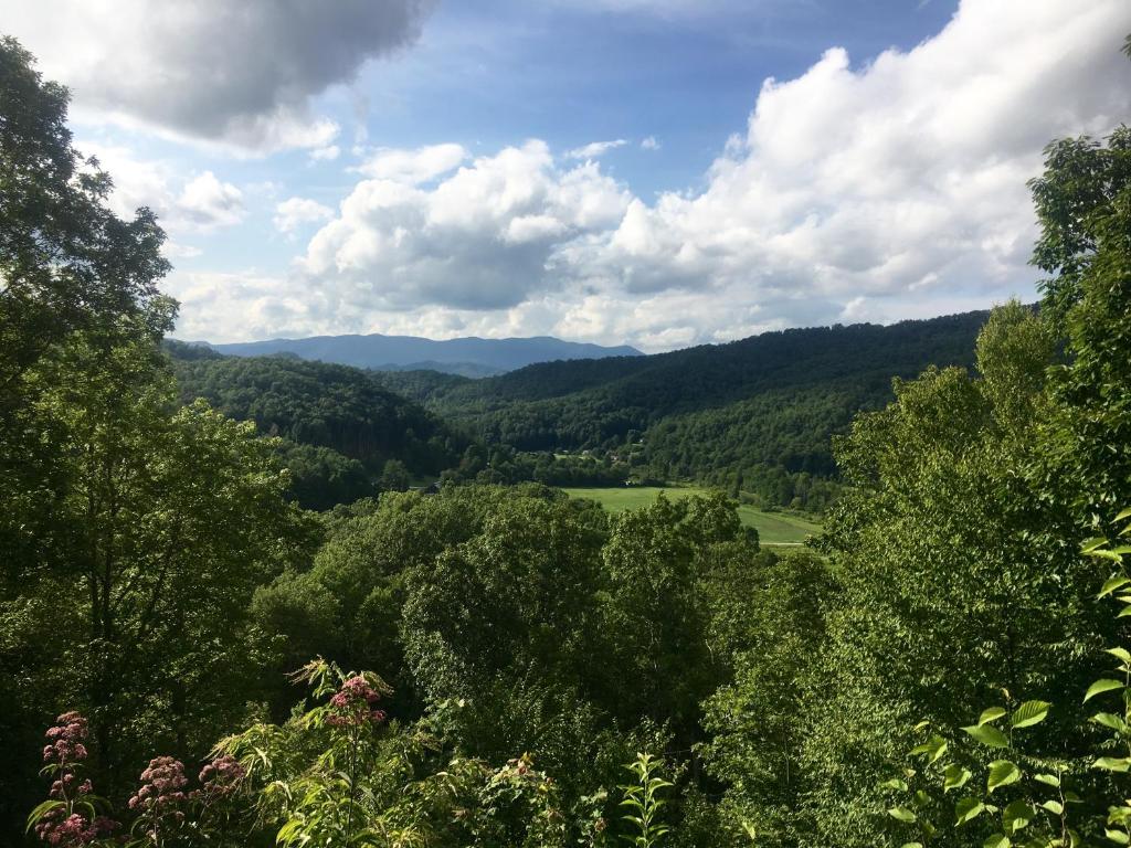 - une vue sur les montagnes depuis une colline arborée dans l'établissement Smoky Mountain Retreat with Deck and Mountain Views!, à Topton