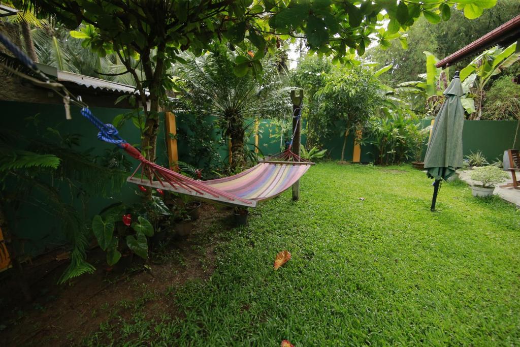 Zahrada ubytování Mary's Palm Garden