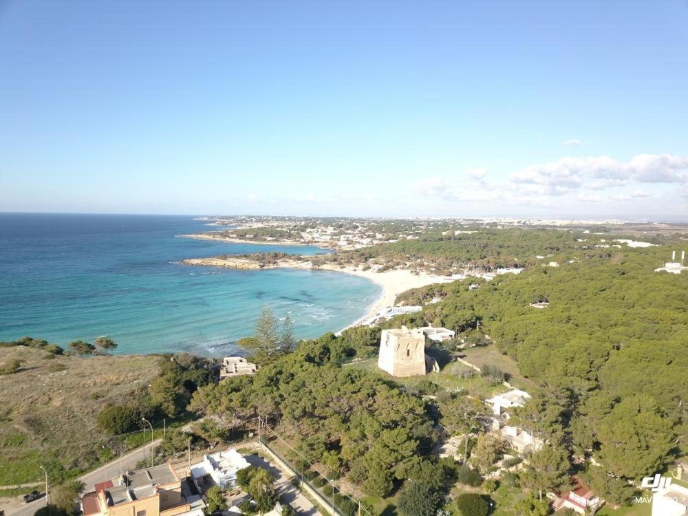una vista aérea de la playa y del océano en Villa Carlos Bambino, en Pulsano