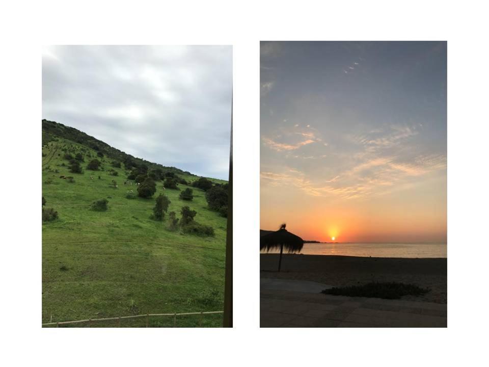 Φυσικό τοπίο κοντά σε αυτό το διαμέρισμα