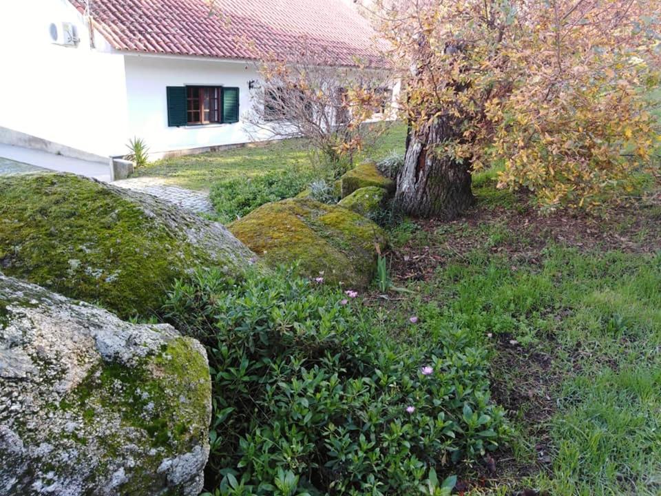 a yard with rocks and a tree and a house at Quinta Souto da Ordem - House in Castelo Novo