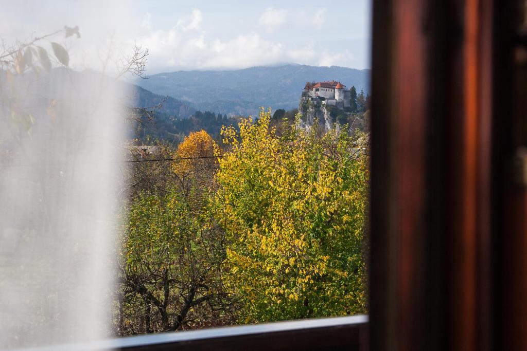 uma janela com vista para um campo de árvores em Rooms Tereza em Bled