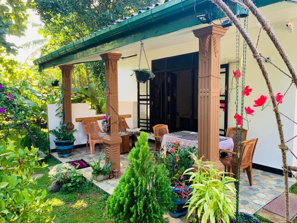 Zahrada ubytování Aloe Home Stay