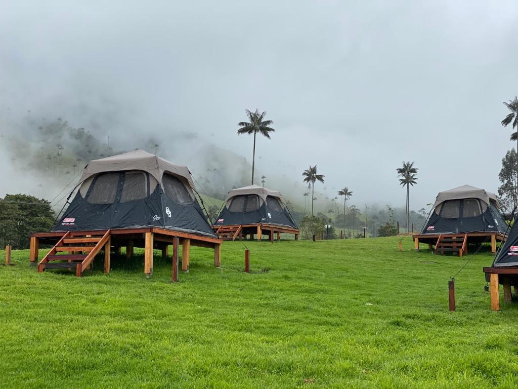 a group of tents sitting in a field at Refugio Nidos del Condor Cocora in Salento