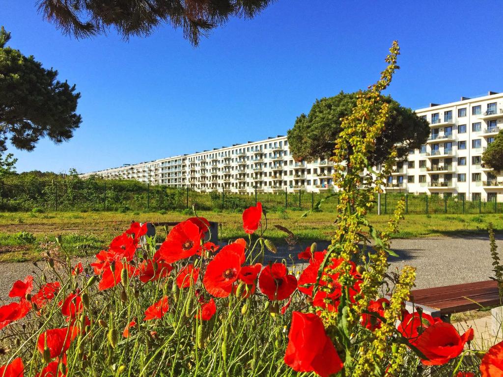 Zahrada ubytování Strandresort Prora - WG 202 mit Meerblick und Sauna