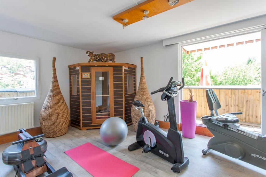 Fitness centrum a/nebo fitness zařízení v ubytování Le Verseau