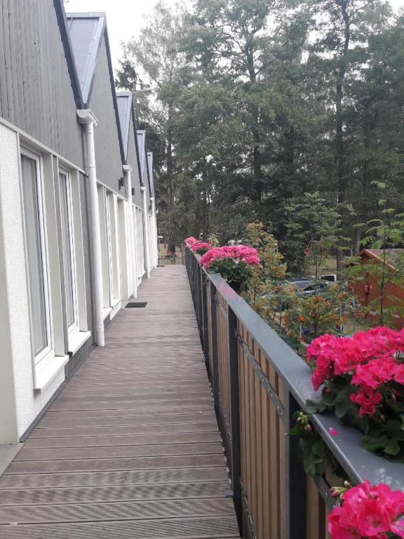 Zahrada ubytování Parkova Apartamenty
