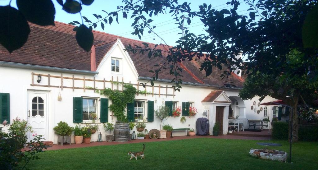 ein weißes Haus mit einem Hund, der im Hof läuft in der Unterkunft Bed & Breakfast Chez Lips in Oberbildein