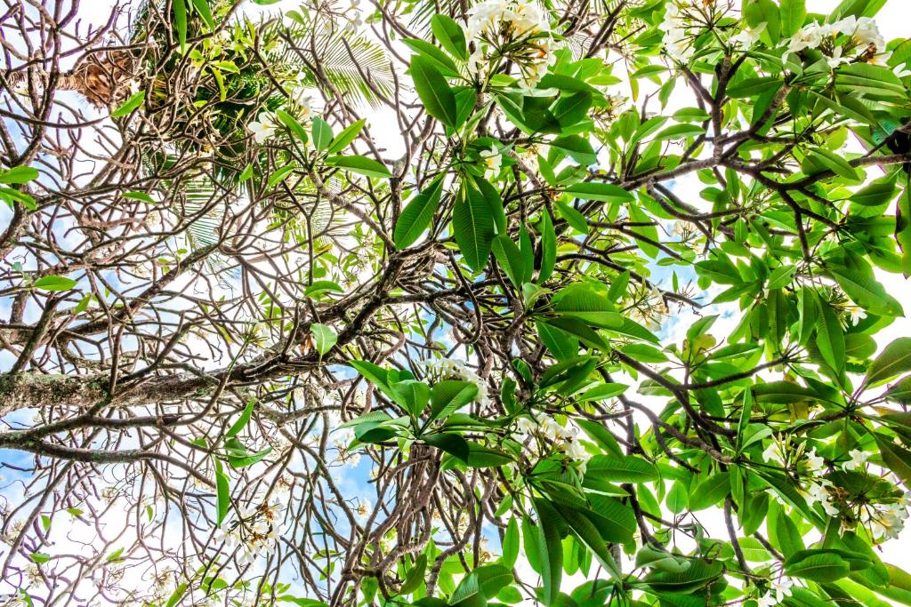  Farol de Itapuã Praia Hotel