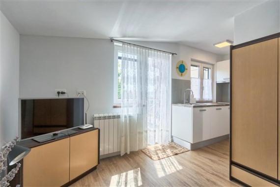 Kuchyň nebo kuchyňský kout v ubytování Apartment Fig Tree