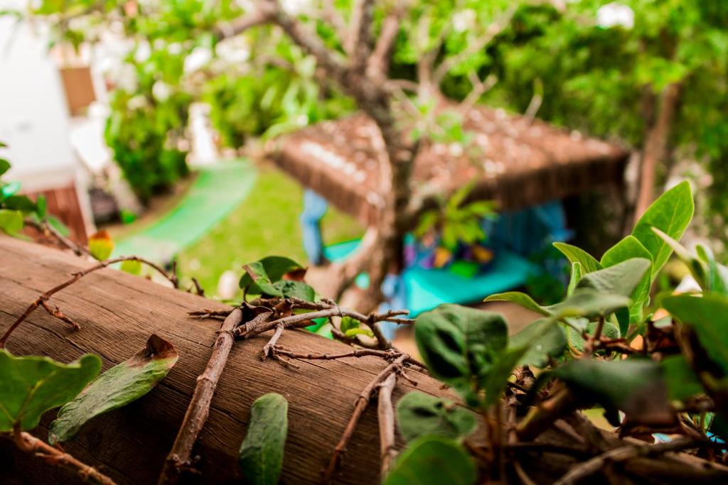  Farol de Itapuã Praia Hotel