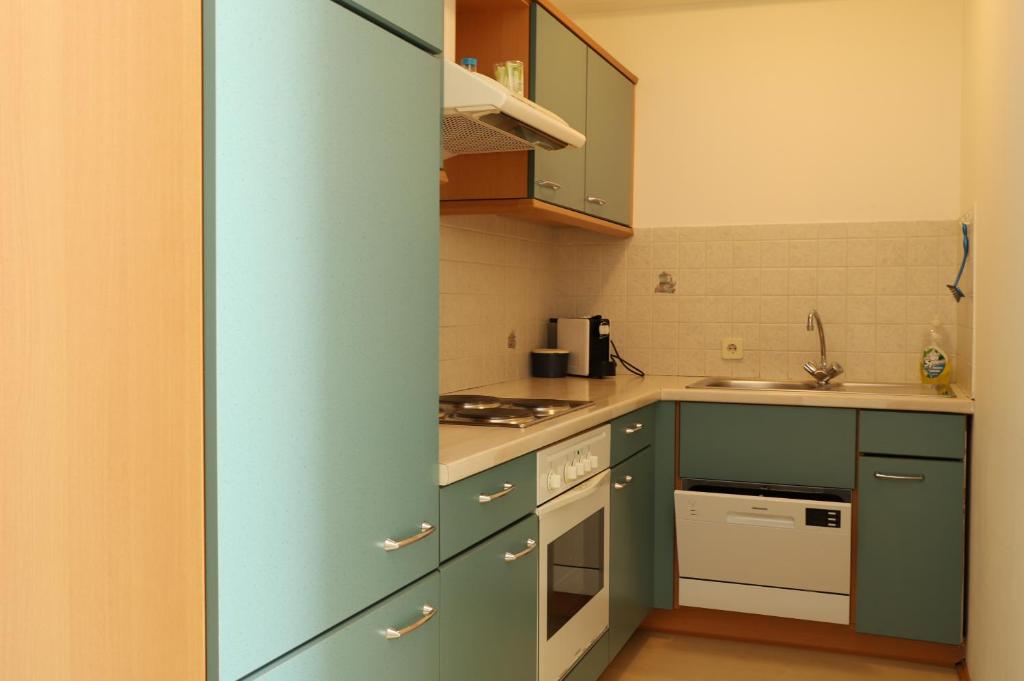Kuchyň nebo kuchyňský kout v ubytování Ferienwohnung Moitz