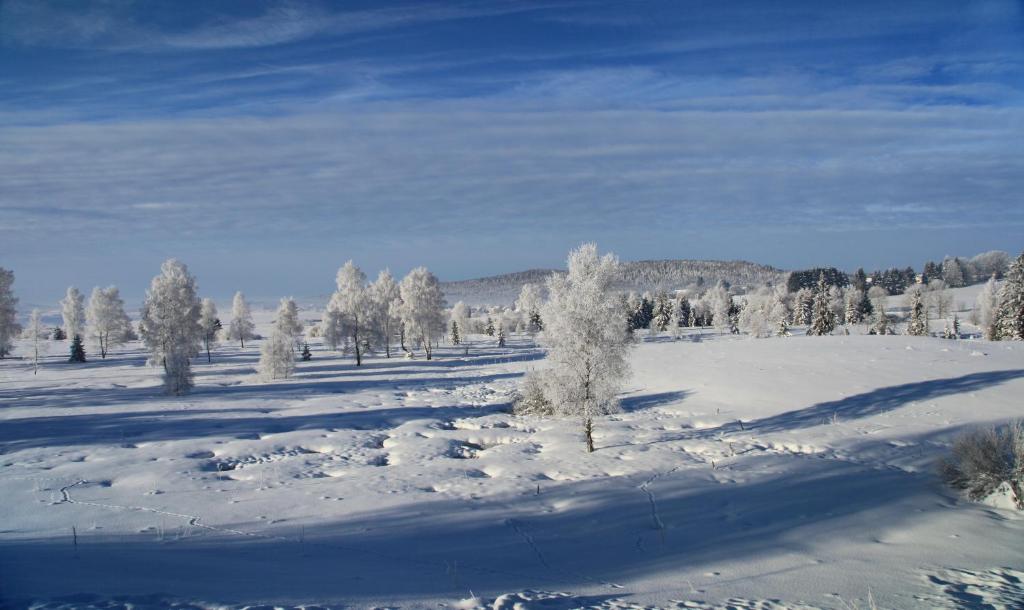 a snow covered field with trees in a field at le refuge des Marmottes in Saint-Laurent-du-Jura