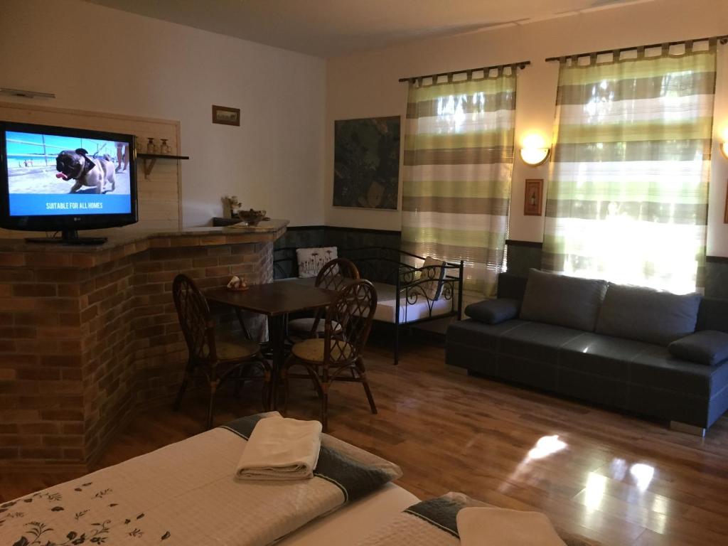 salon z kanapą i telewizorem w obiekcie Penzion Dukát w mieście Vřesina