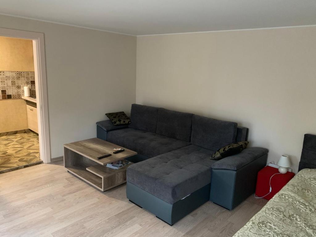 Rusnės Apartamentai - One-Bedroom Apartment