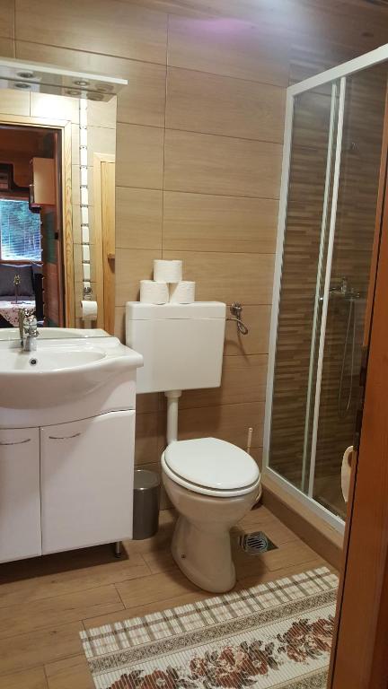 Koupelna v ubytování Holiday Home Prdelanca