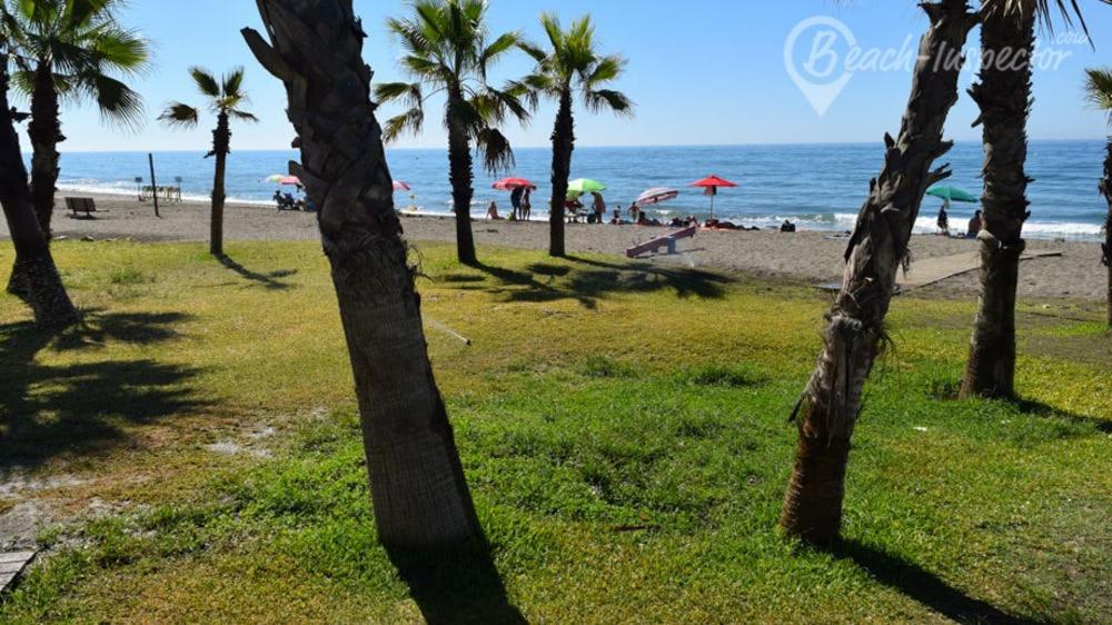 a group of palm trees on a beach with the ocean at Apartamento 60 m2 en la playa in Torre de Benagalbón