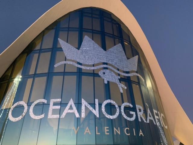 Marina D OR BAHIA PARK, Oropesa del Mar – Precios ...