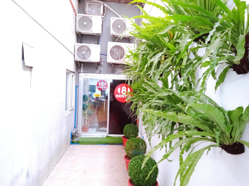 Zahrada ubytování 8Hostel
