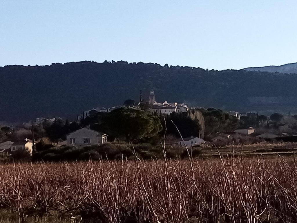 a town on a hill with a field of grass at Chris et Lolo 84 in Sablet