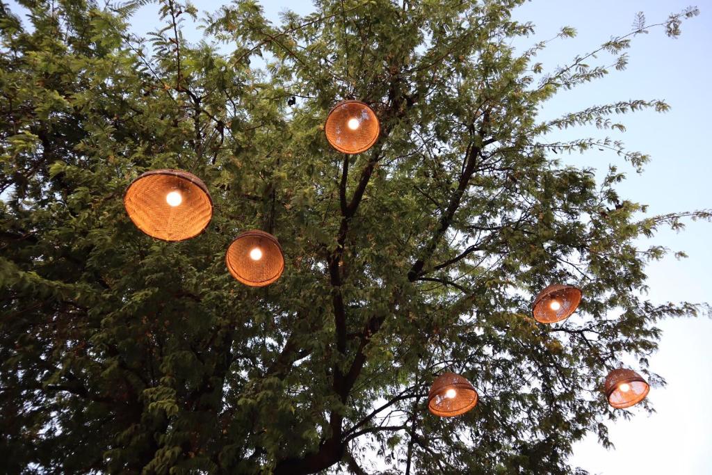 Civilize Hotel - Resim 20