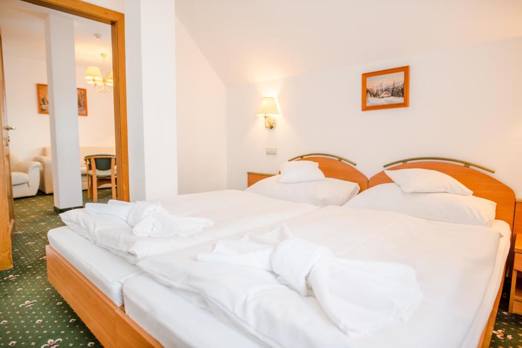 Hotel Spindlerova Bouda - Resim 20