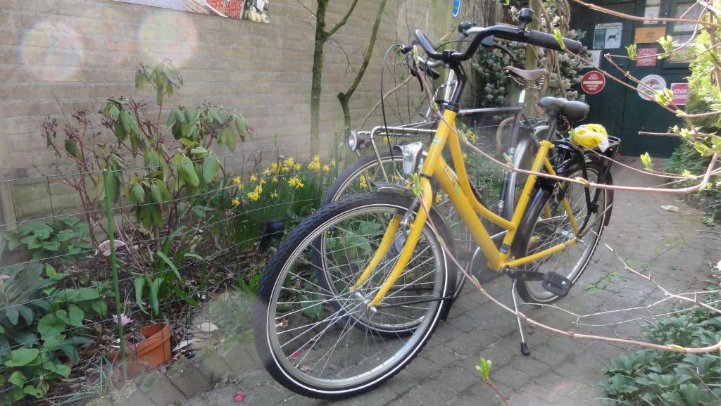 Đạp xe trong hoặc quanh B&B Aan het Park Eindhoven