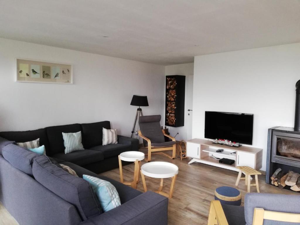 ein Wohnzimmer mit einem Sofa und einem TV in der Unterkunft La Balade d'Annie in Trooz