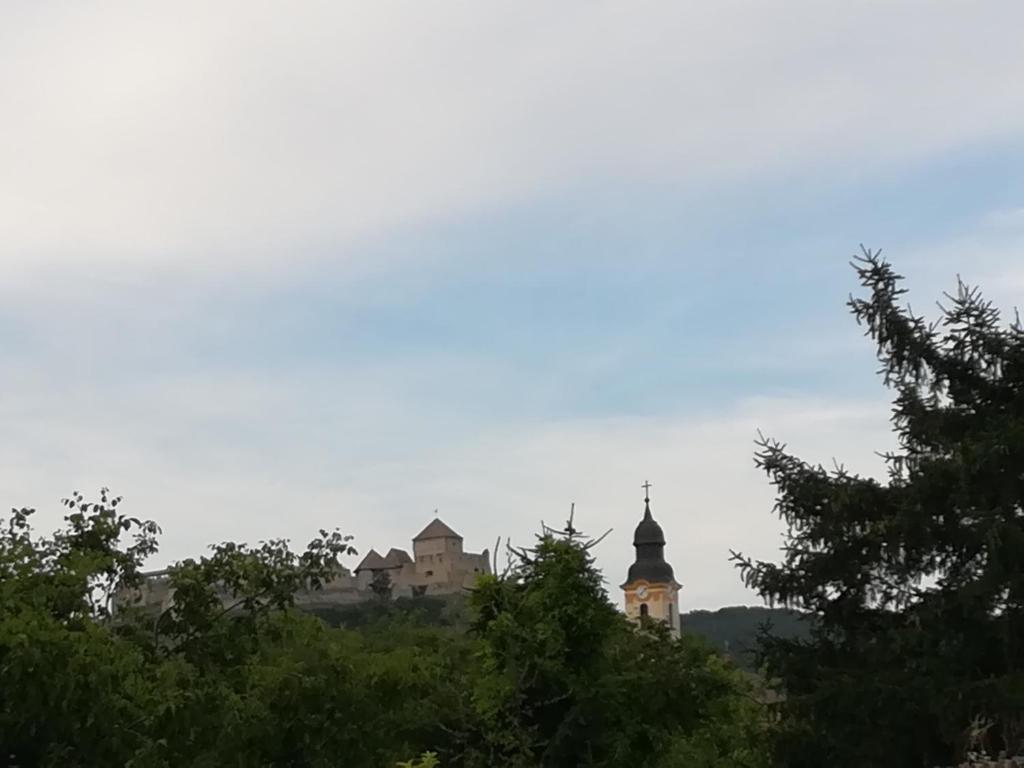 Příroda nedaleko apartmánu