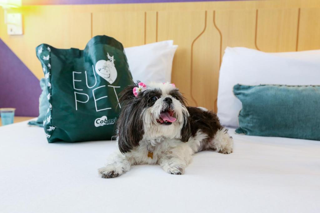  Comfort Nova Paulista