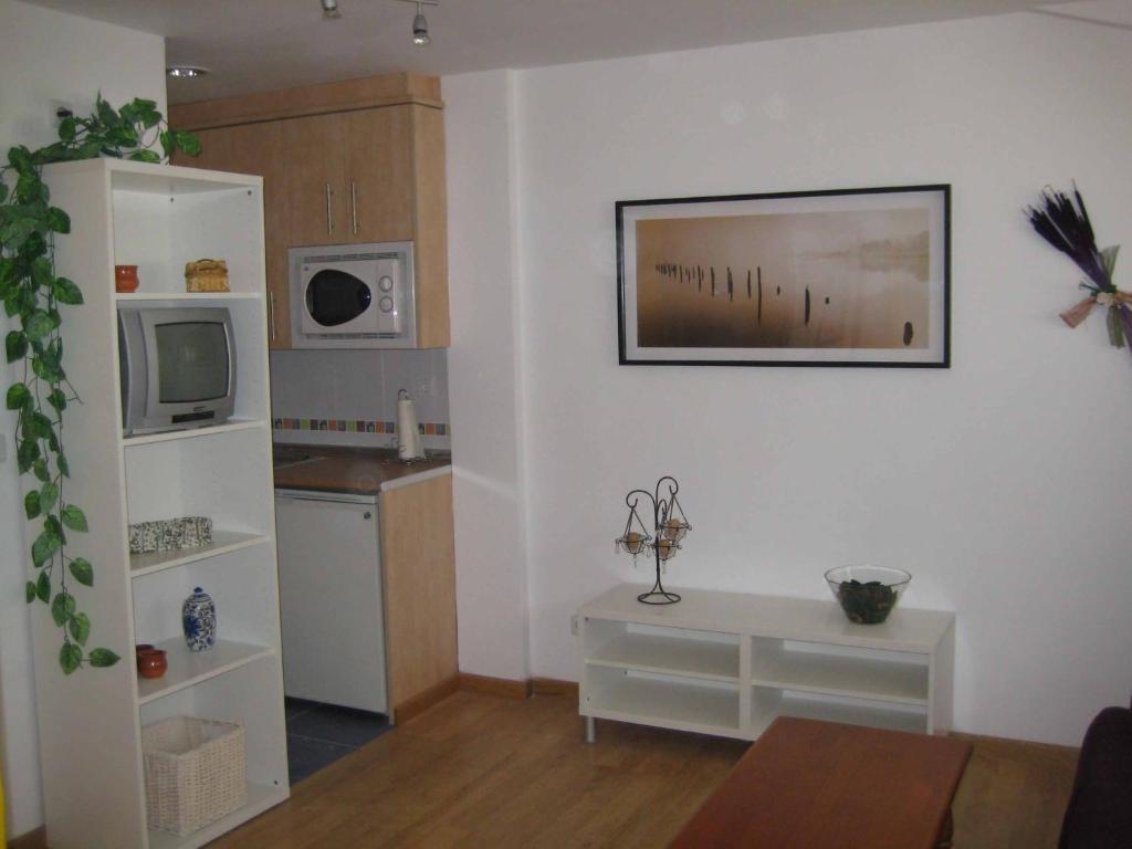 sala de estar con cocina y una foto en la pared en Apartamento en pistas de esquí, en Candanchú