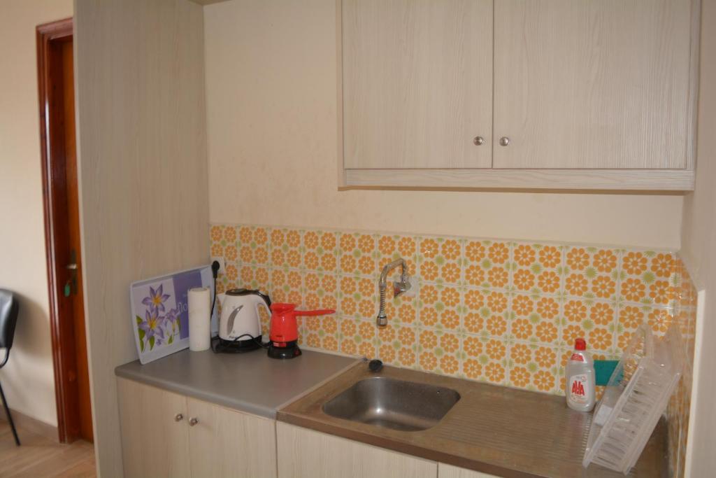 Kuchyň nebo kuchyňský kout v ubytování FIORE ROOMS