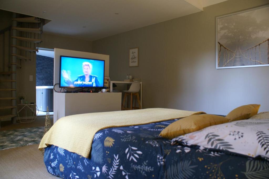 TV a/nebo společenská místnost v ubytování Magnifique Suite avec Jacuzzi privatif