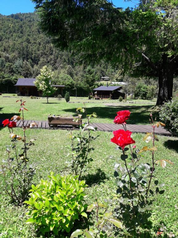 park z ławką i czerwonymi kwiatami w trawie w obiekcie Dos Oregones Caburgua w mieście Caburgua